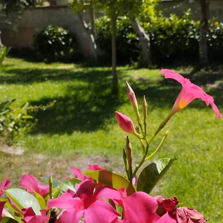 בית נופש Soleluna Aurora